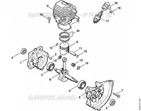 Carter, Cylindre pour Stihl HS 74