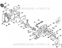 Carter, Vilebrequin pour Stihl MS 440